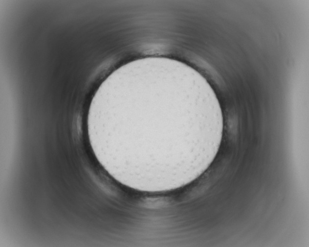 X0000113030686200910081220