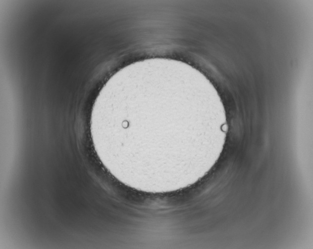 X0000113030687200910081220