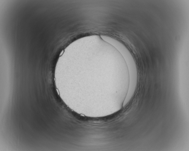 X0000113030689200910081220