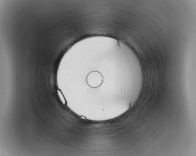 X0000113030692200910081220