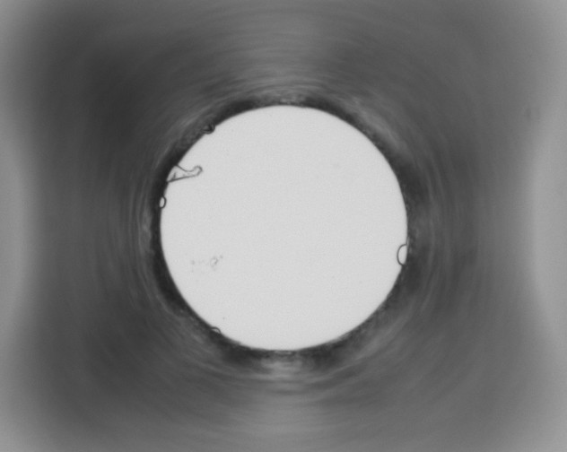 X0000113030693200910081220