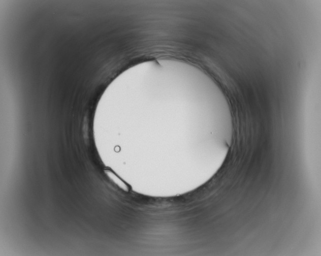 X0000113030696200910081220
