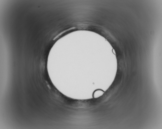 X0000113030697200910081220