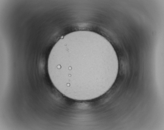 X0000113030698200910081220