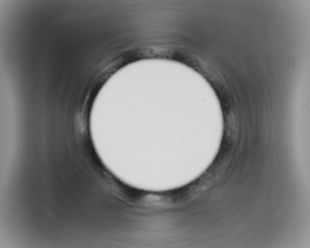 X0000113030699200910081220