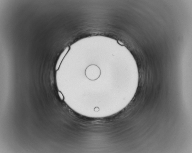 X0000113030700200910081220