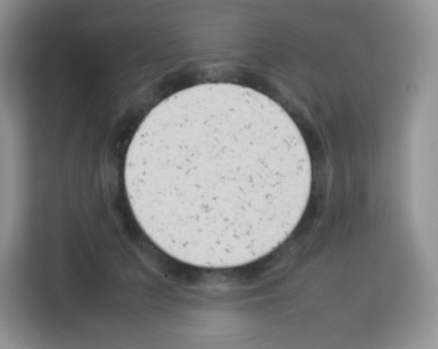 X0000113030703200910081220
