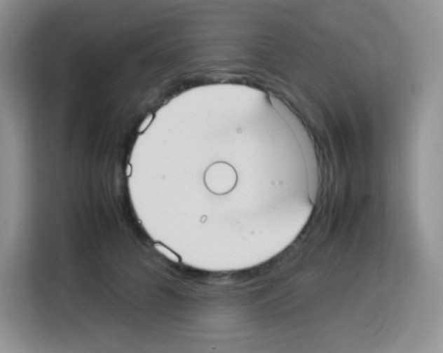 X0000113030704200910081220