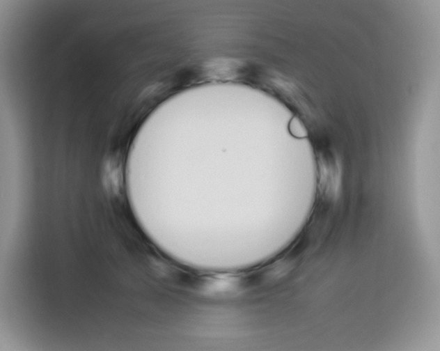 X0000113030705200910081220