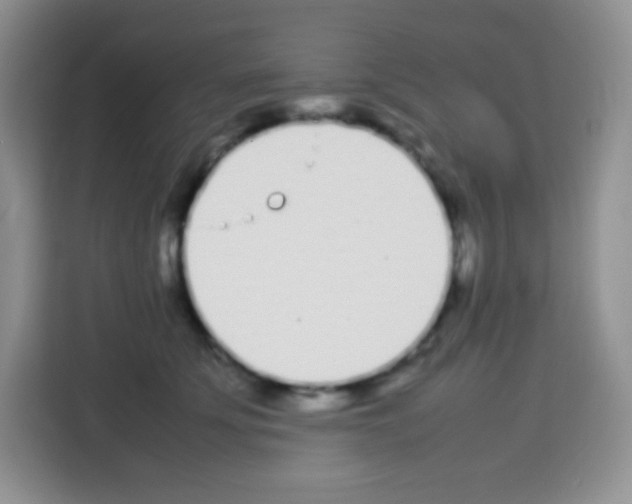 X0000113030707200910081220
