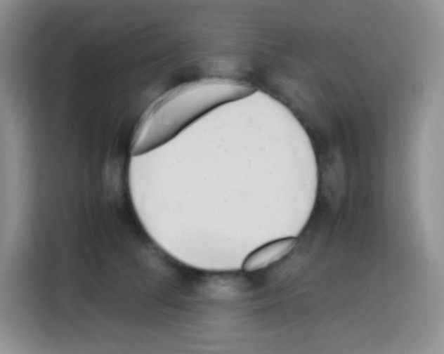 X0000113030708200910081220