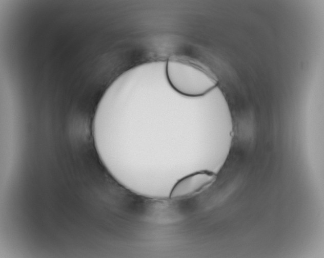 X0000113030709200910081220