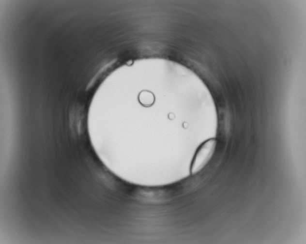 X0000113030712200910081220