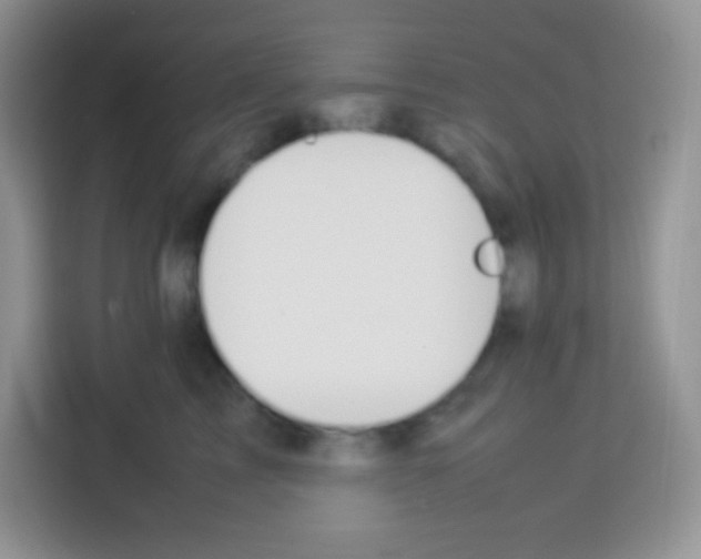 X0000113030713200910081220