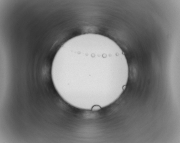 X0000113030714200910081220