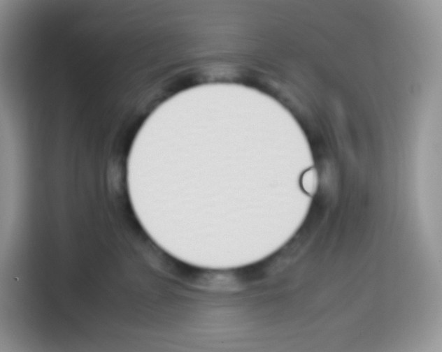 X0000113030715200910081220