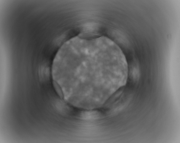 X0000113030716200910081220