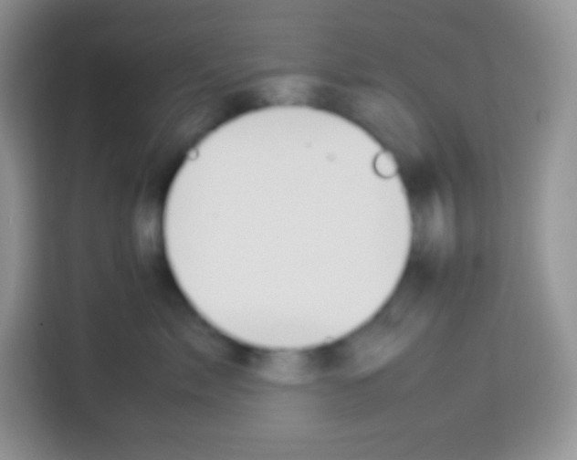 X0000113030717200910081220
