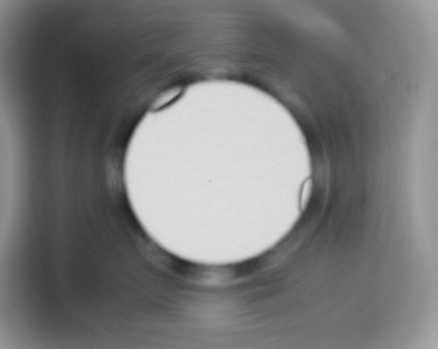 X0000113030719200910081220