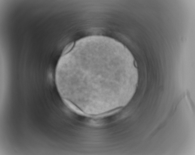 X0000113030720200910081220