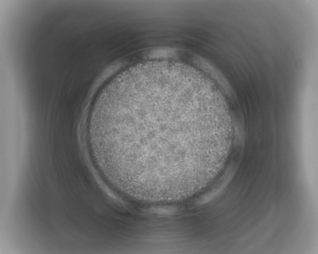 X0000113030721200910081219