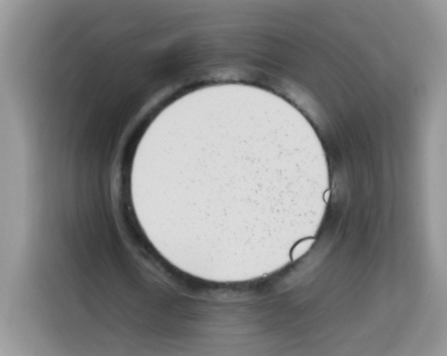 X0000113030722200910081219