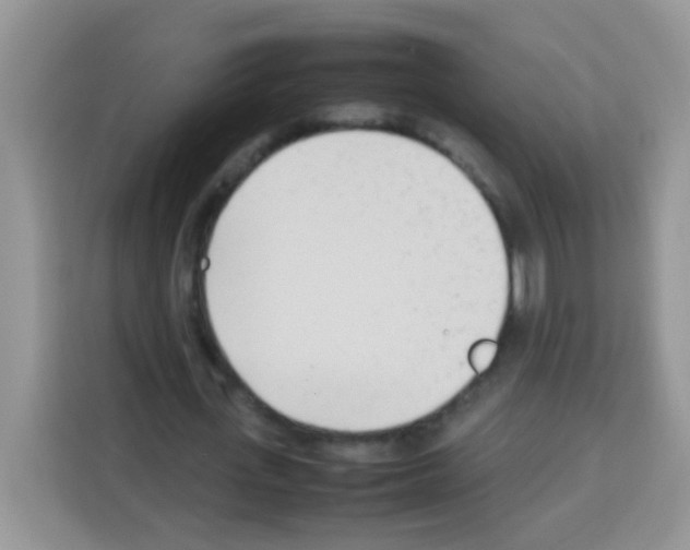 X0000113030723200910081219