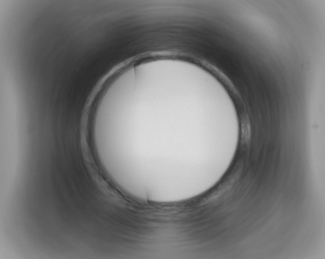 X0000113030724200910081219