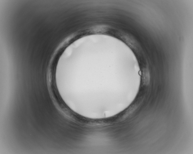 X0000113030726200910081219