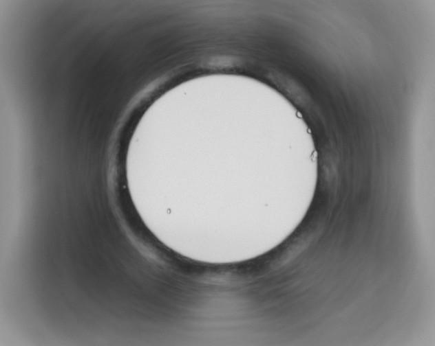 X0000113030728200910081219