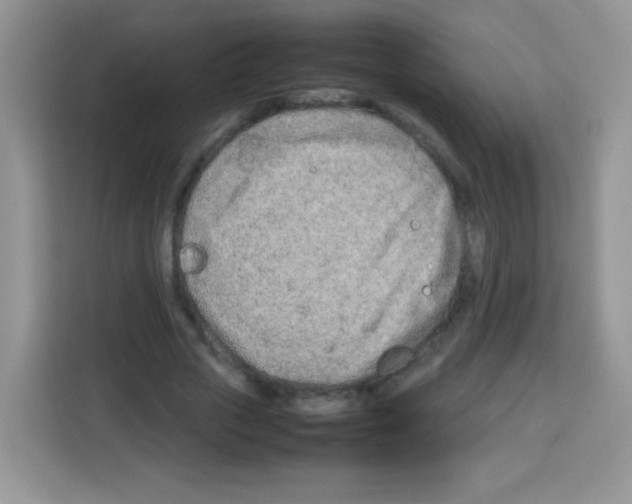 X0000113030729200910081219