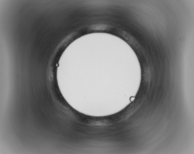 X0000113030731200910081219