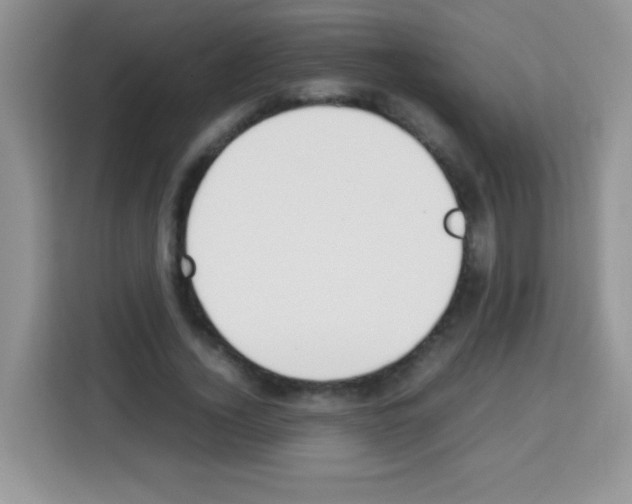 X0000113030732200910081219