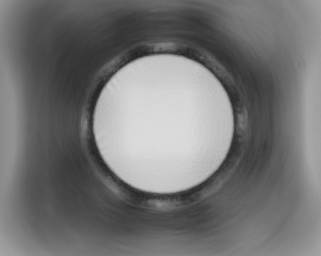 X0000113030733200910081219