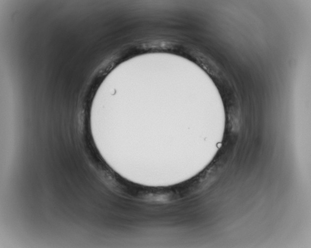 X0000113030735200910081219