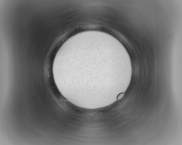 X0000113030736200910081219