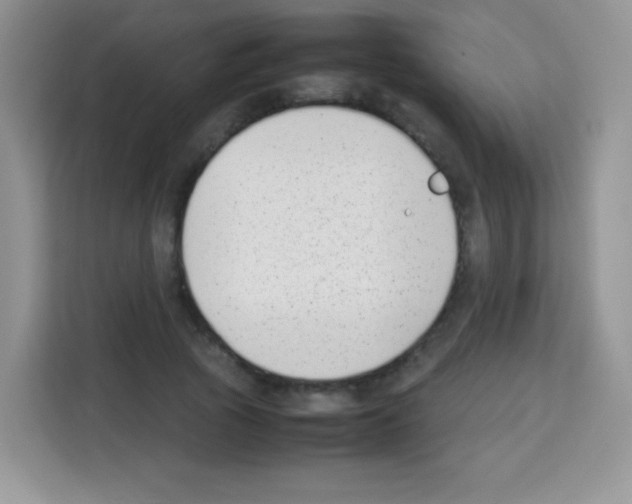 X0000113030737200910081219