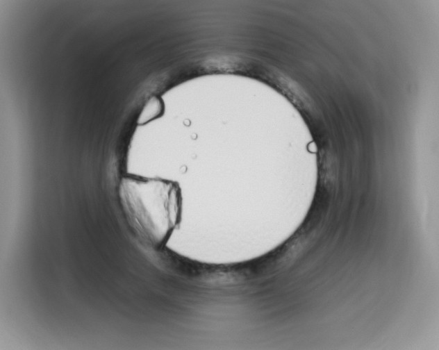 X0000113030738200910081219