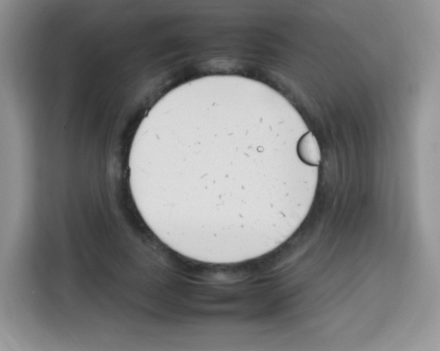 X0000113030739200910081219