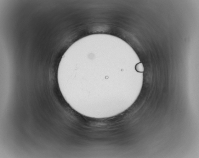 X0000113030743200910081219