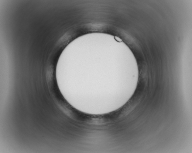 X0000113030744200910081219