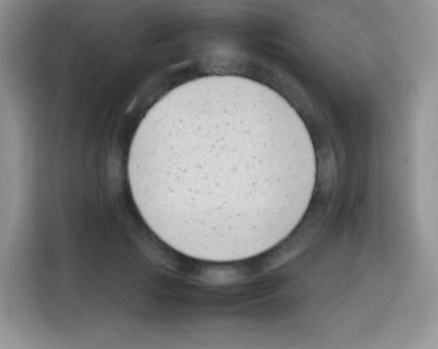 X0000113030749200910081220