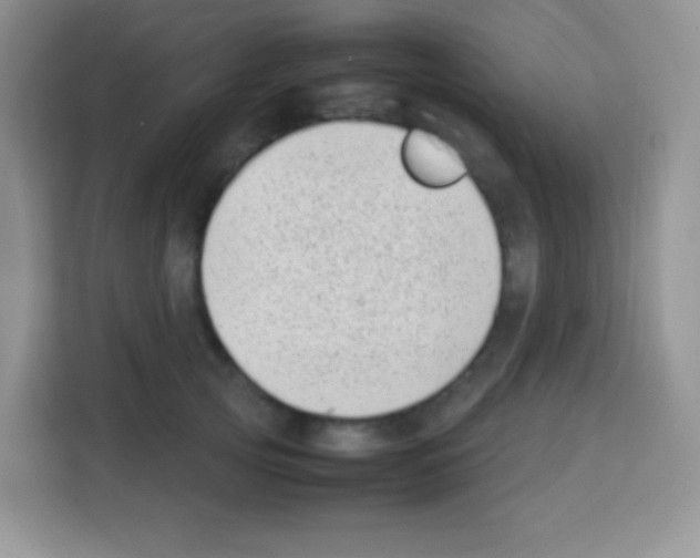 X0000113030753200910081220