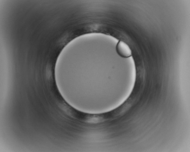 X0000113030754200910081220