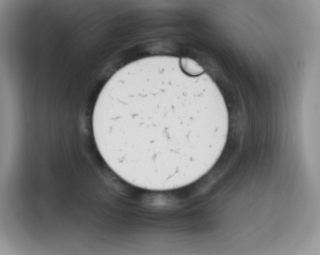 X0000113030755200910081220