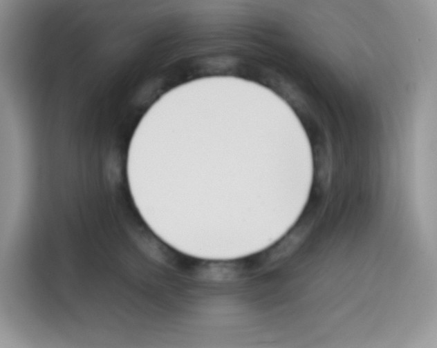 X0000113030758200910081220