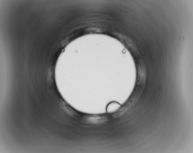 X0000113030759200910081220