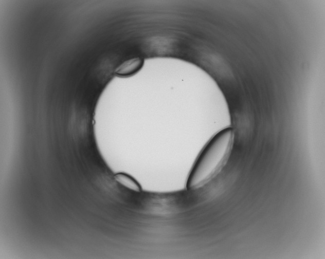 X0000113030760200910081220