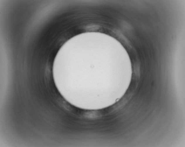 X0000113030761200910081220