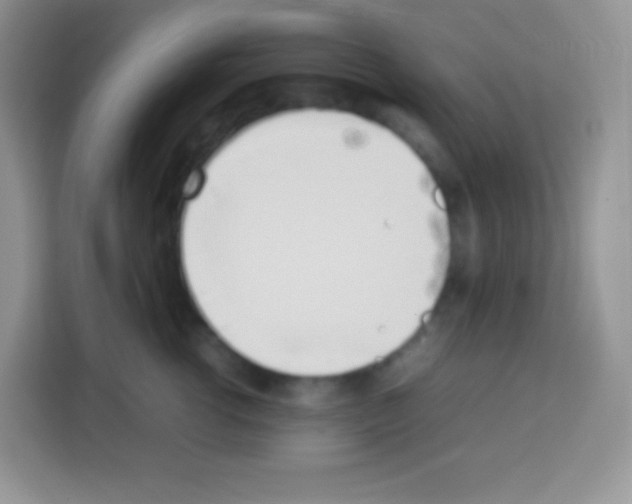 X0000113030762200910081220
